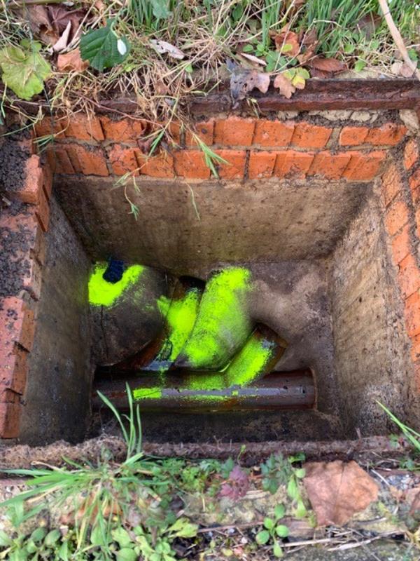 Drain with bright coloured tracking powder which shows rodent activity.