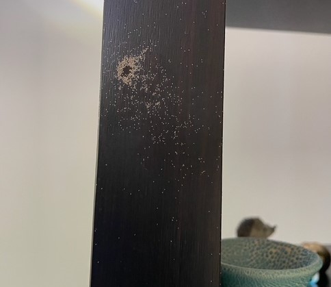 Mould mites on a dark shelving unit in a living room.